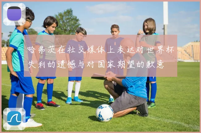 哈弗茨在社交媒体上表达对世界杯失利的遗憾与对国家期望的歉意